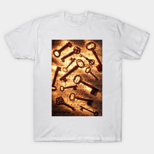 Old skeleton keys on sheet music T-Shirt